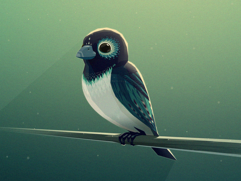 bird mg