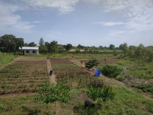 Fondation Heloise Charruau Benin