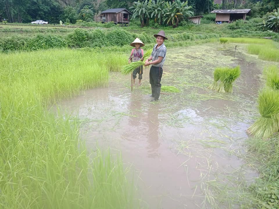 fondation heloise charruau thailande premier bilan cooperative agricole chez les karens